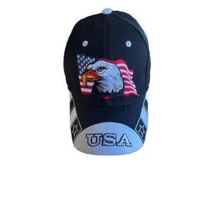 Black Patriotic Eagle On Flag Baseball Hat